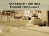 Voir la galerie photo Hotel Hotel Holiday Inn Paris - Biblioth�que de France