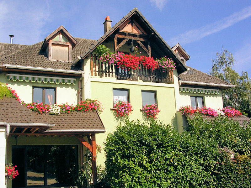 Chambres d'hôtes Les Bougainvilliers - Chambres à Kintzheim dans le Bas-Rhin  (67), Alsace
