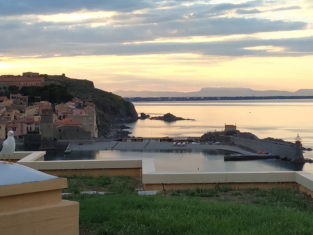 Collioure : vue mer, climatisation, piscine, accès plage, parking - Studio  à Collioure dans les Pyrénées Orientales (66)